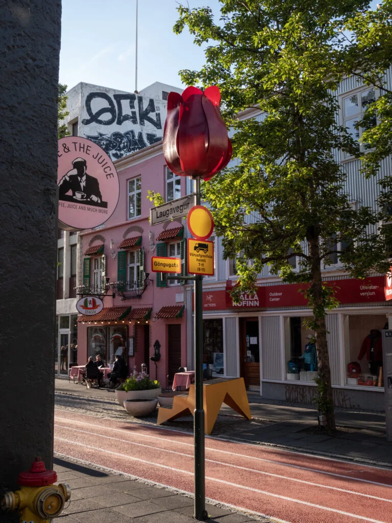 rues emblématiques en Islande à Reykjavik en juin 2020 avec un lampadaire en coquelicot