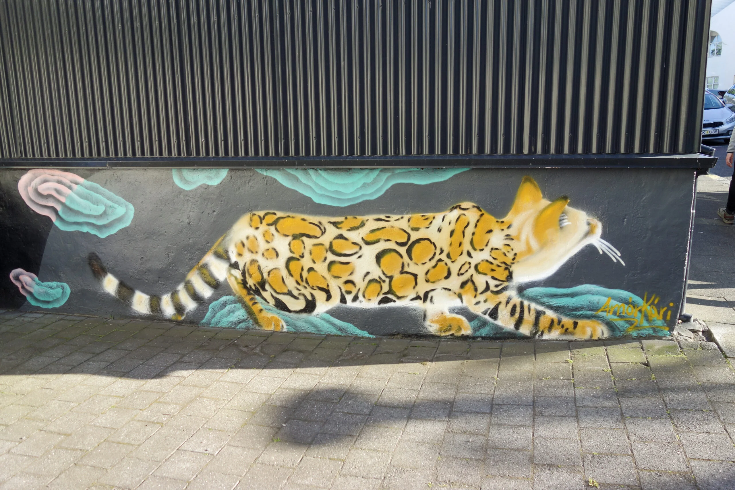 rues emblématique en Islande à Reykjavik en juin 2020 avec tag de chat ou de léopard
