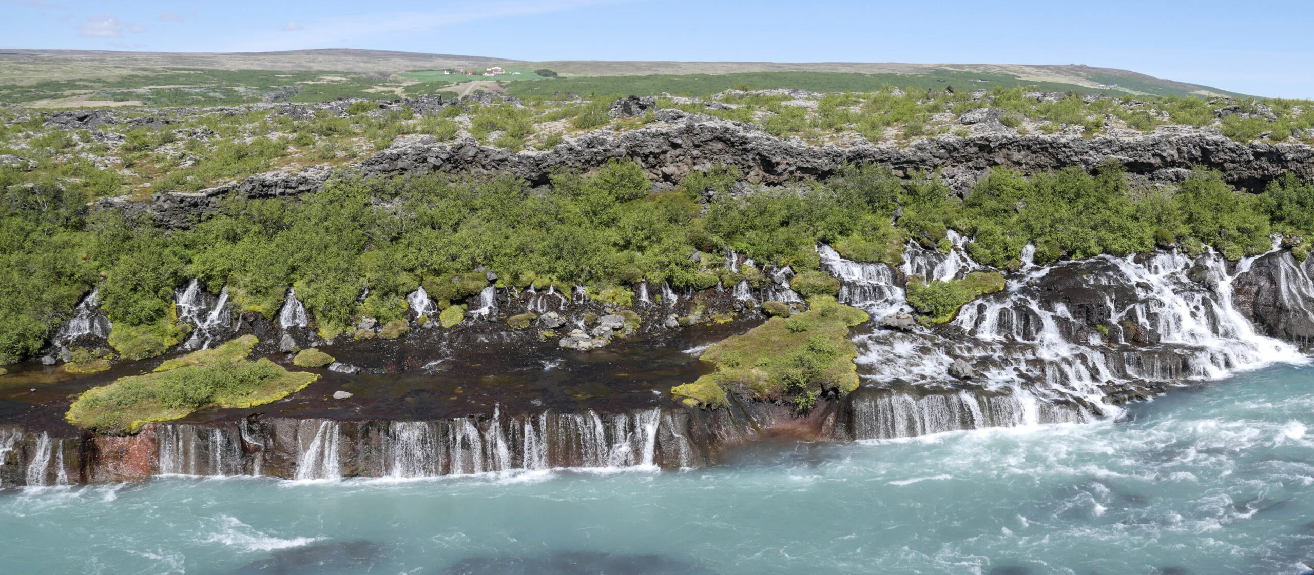 BARNAFOSS en juin 2020