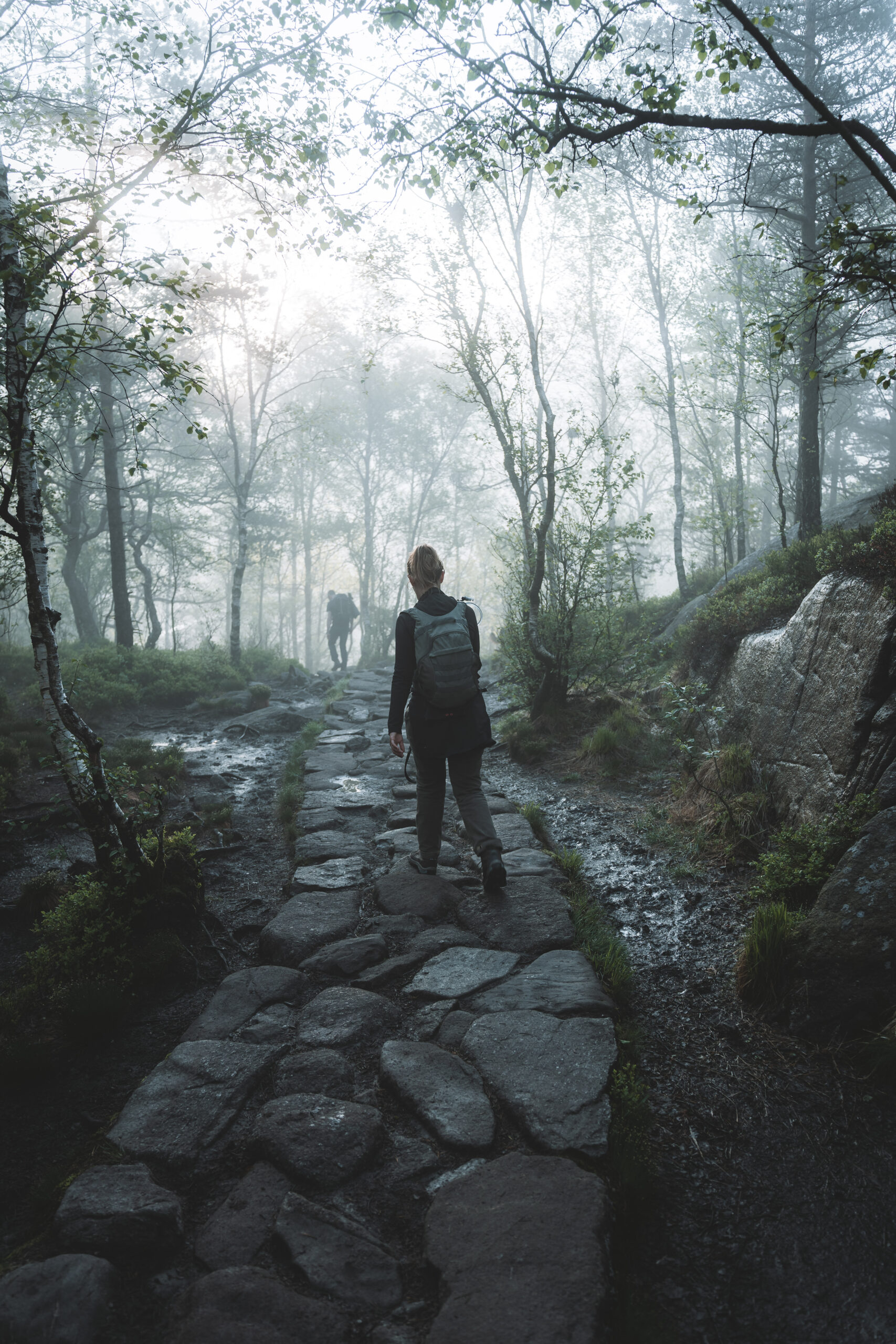 Randonnée à Preikestolen, conseils & récit - Wild Rosemarys