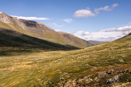 Article Dovrefjell – 09